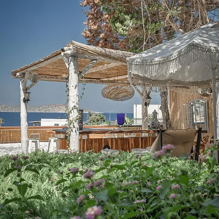 Hotell Olo Yalikavak 8 Min Gumusluk 3 Min Bodrum